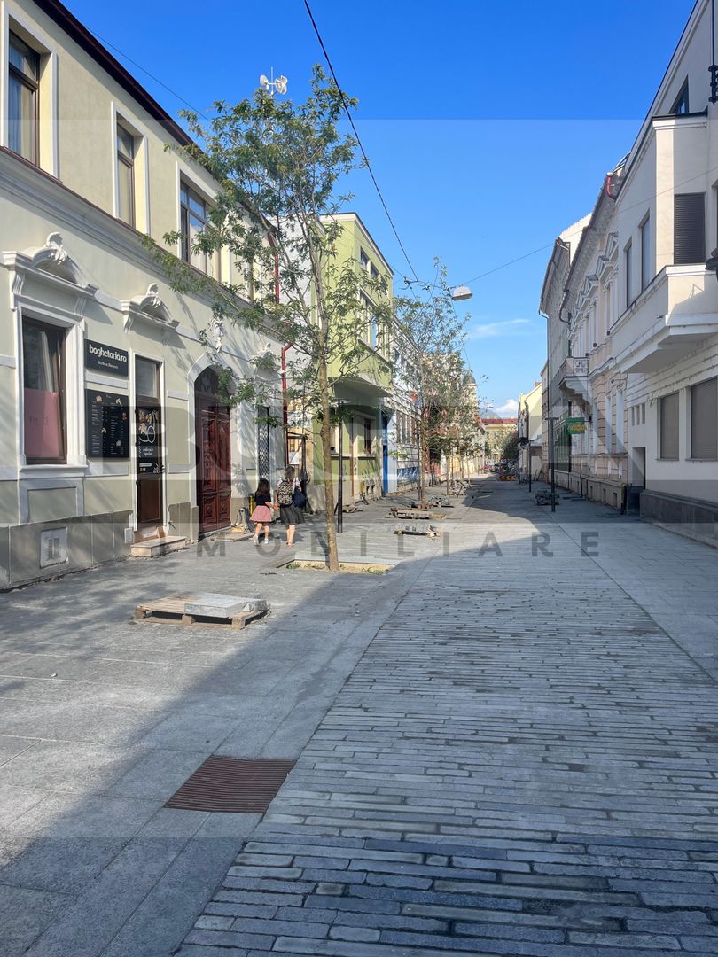 Spatiu alimentatie publica, 130 mp, zona ULTRACENTRALA - Poză 9