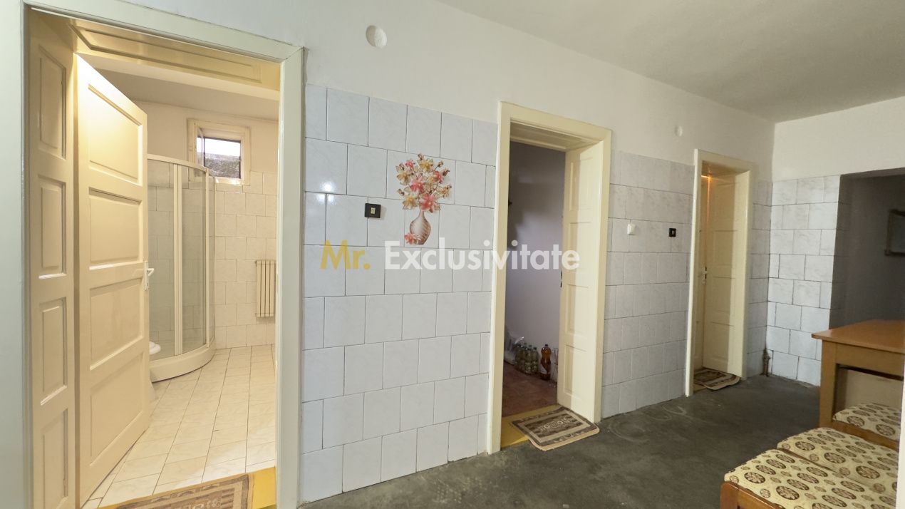 Casă 7 camere cu Teren 4.620 mp | Potențial pentru rezidență sau afacere | Carei - Poză 15