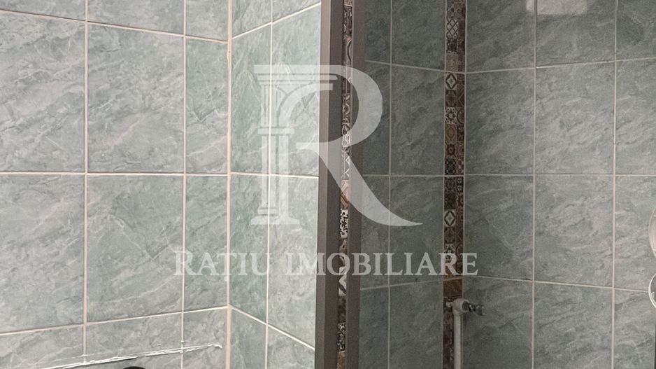 Spațiu comercial central – Aleșd | Ideal investiție | Bihor - Poză 10