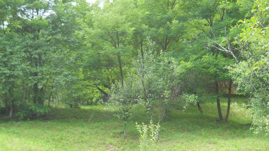 Teren Breaza de Jos, Prahova, Podu Vadului, 3750 mp (posibilitate si de 6000 mp) - Poză 2