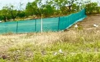 Teren Miroslava! - Poză 2