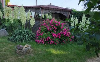 Casa in Comuna Nuci IF - Poză 2