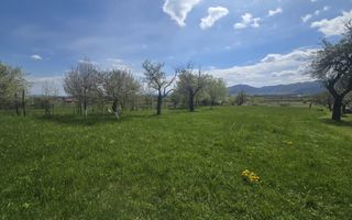 Teren 5400 mp superb cu livada si vedere spre munti Orlat - Poză 3