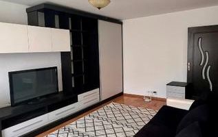 # Apartament cu o camera Pet friendly - Poză 5