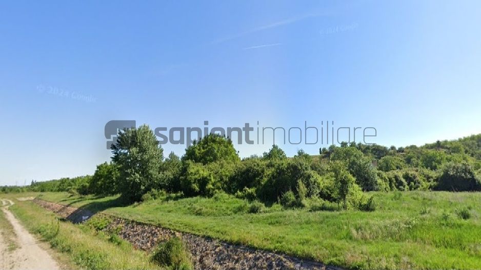 Sapient | Teren Intravilan 12831 MP Episcopia - Poză 4