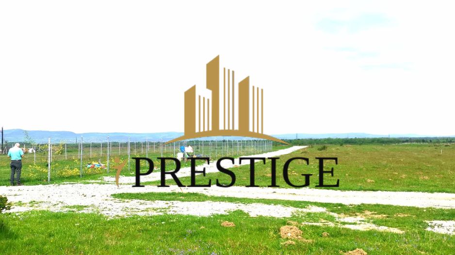 Teren Valea Avrigului – 1.000 mp | 1 km Dino Park | 25 €/mp - Poză 5