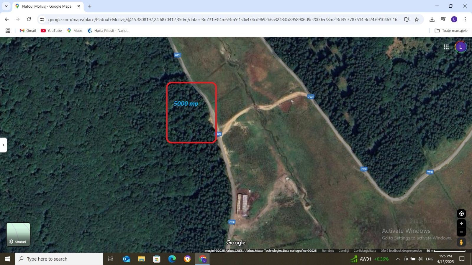 Vanzare teren 5000 mp Transfagarasan - Molivis - Poză 3