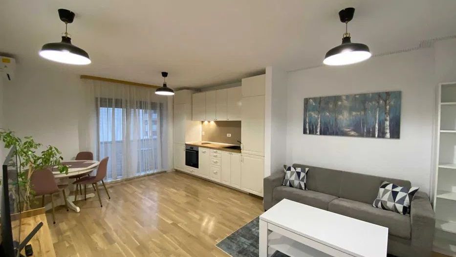 Apartament luminos Domenii - Poză 1