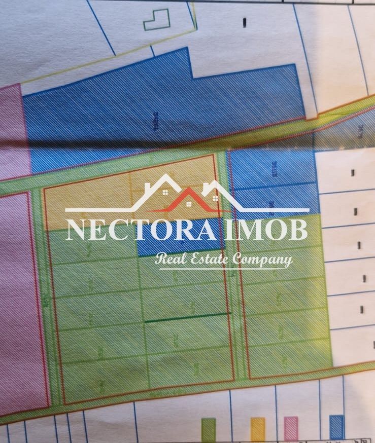 NECTORA IMOB-3 PARCELE DE 900,1056,1350 mp, Zona Paleu, limita Oradea - Poză 1