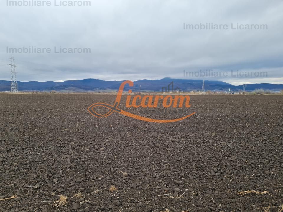 Teren extravilan 2,9 HA,intre Cristian si Vulcan - Poză 3