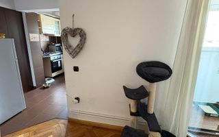 Pet friendly Calea Victoriei, 3 camere + terasa + boxa - Poză 8