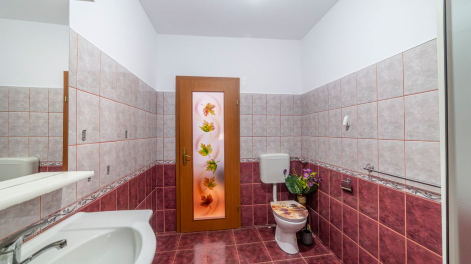 Casa | De Inchiriat | Mobilata + Utilata | Mosnita Noua | COMISION 0% - Poză 32
