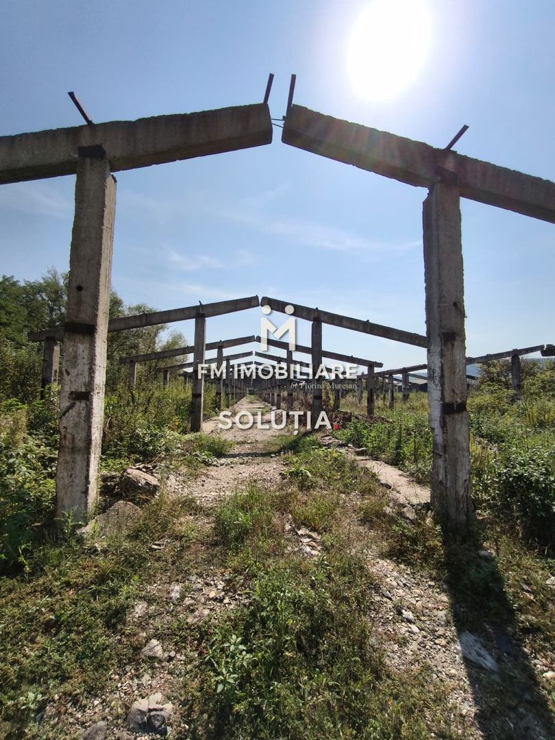 Complex industrial  cu teren 18,672 mp Târgu Lăpuș - Poză 22