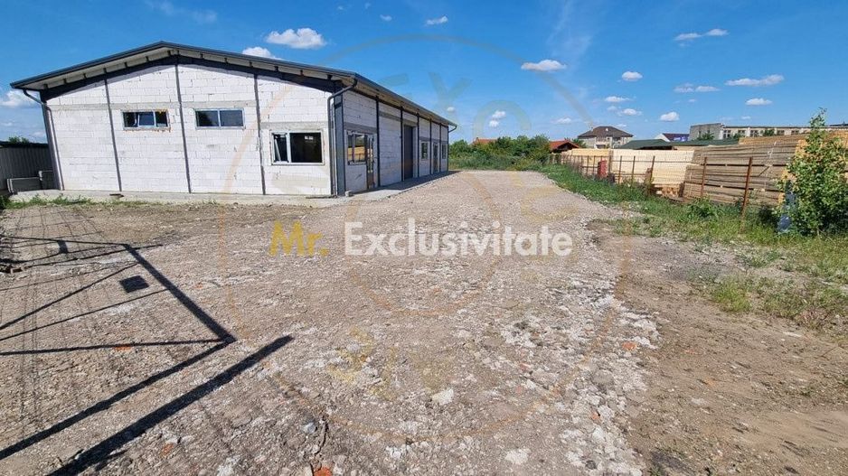 Inchiriere Hală Producție/Depozitare 300 mp, Teren 1791 mp - Carei - Poză 8