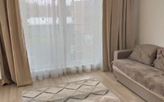 Garsoniera | Turnisor - Alma - Poză 5