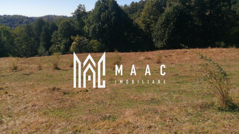 Teren Extravilan 20.000Mp I Stoenești -Vâlcea I Apă Curentă și Pădure - Poză 1