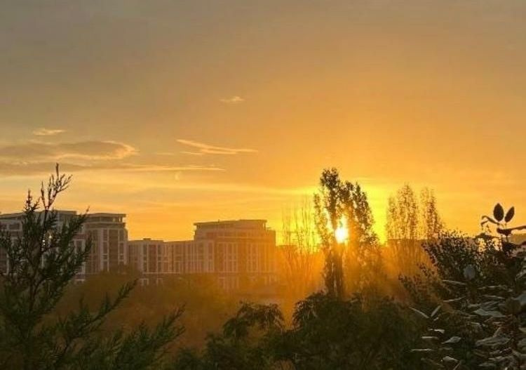 Apartament Modern | 3 Camere | Zona Aviatiei | Terasa Spatioasa - Poză 12