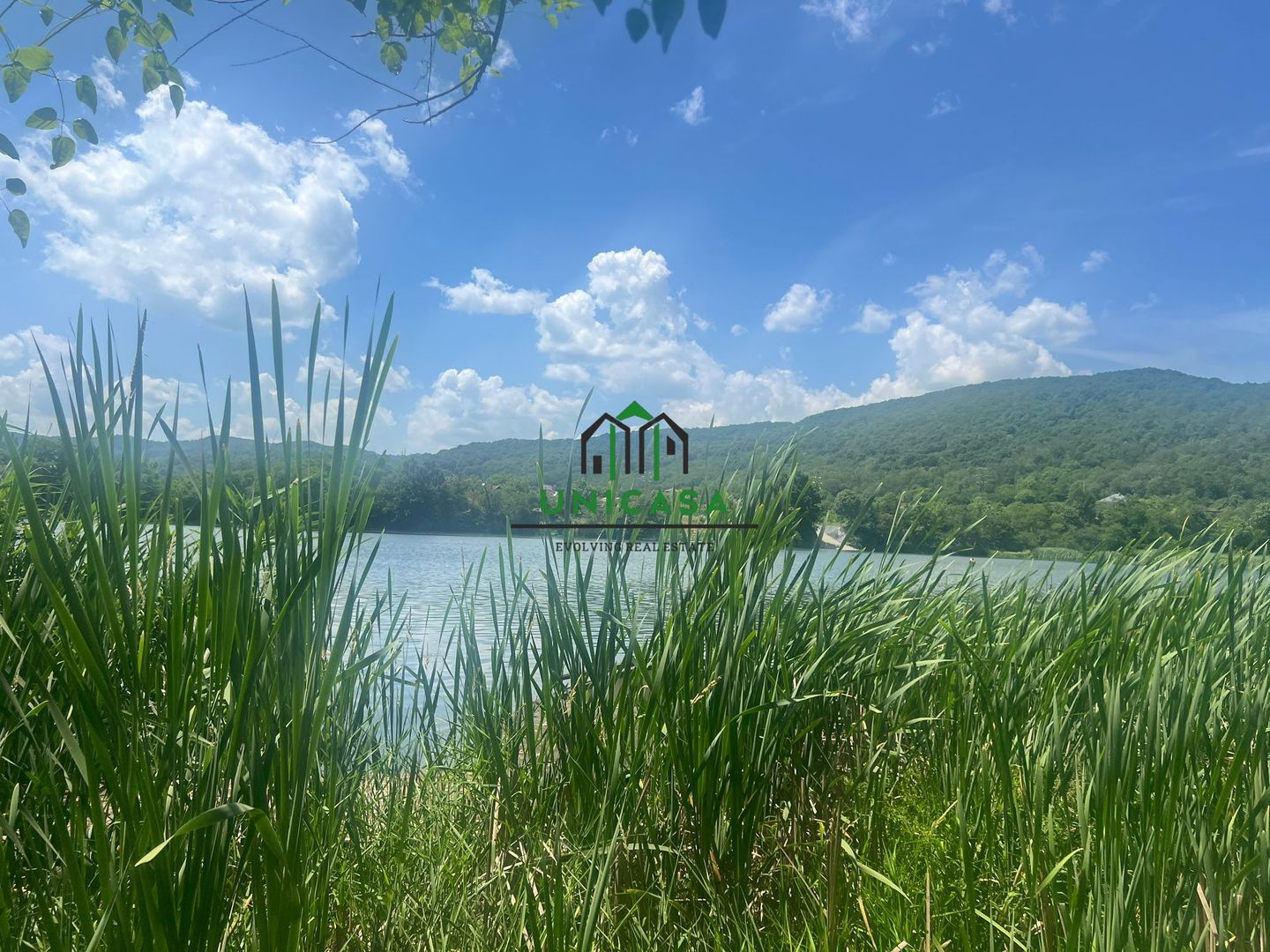 Teren Fedelesoiu/3200 mp/Intravilan - Poză 7