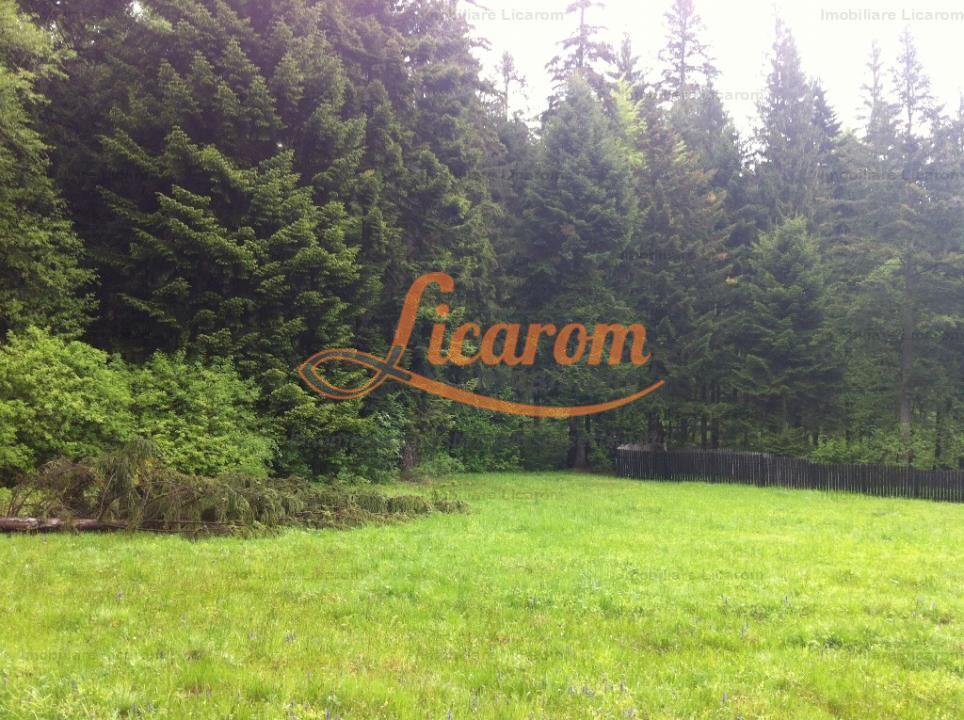 Teren intravilan Cotul Donului,pretabil Hotel/pensiune. - Poză 9