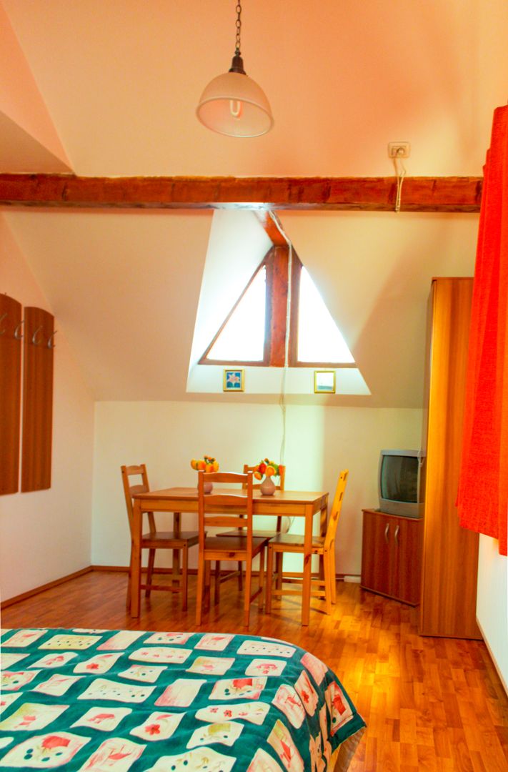 Vila/Pensiune cocheta la munte | Predeal, langa Partia Ski Clabucet - Poză 15