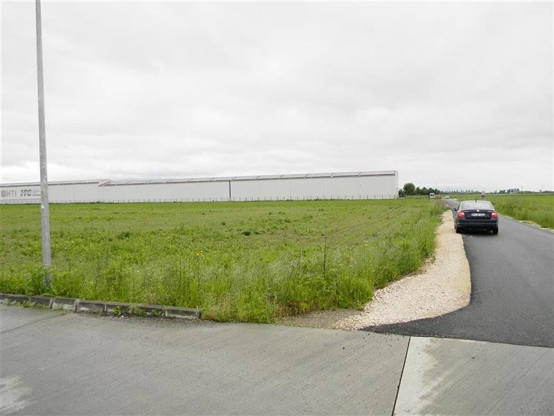 Teren pentru hale-Ghimbav-Joysonquin - Poză 2