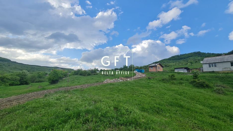 Teren Extravilan 2200 mp, Viisoara - Poză 4