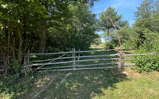 Platou montan, 6631 mp intravilan, electricitate,  langa pădure - Poză 5