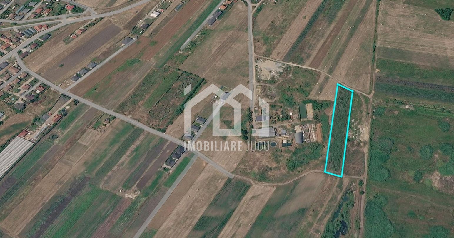 🔥 5.800 mp | Front 30 m | 20EUR/mp | Jucu de Mijloc - Poză 6
