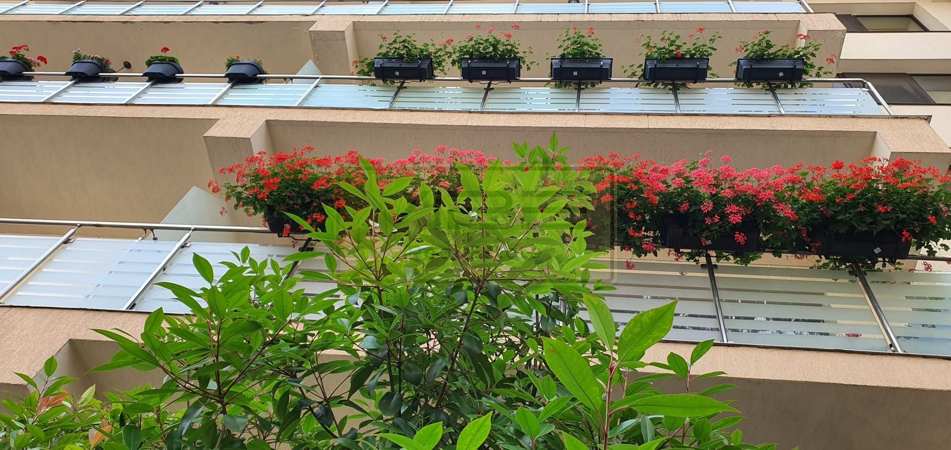 Garsoniera moderna  Copou - Exclusive Residence - Poză 20