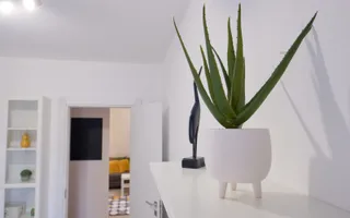 3 camere-2 dormitoare| Soarelui| etaj 1| parcare| termoficare| pet friendly - Poză 21