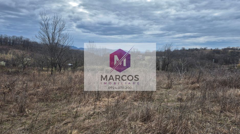 Vand 2 parcele de 5700 mp zona Iabalcea - Poză 4