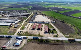 4,2 ha Teren DN7 Nădlac pentru Parc Logistic - Poză 5