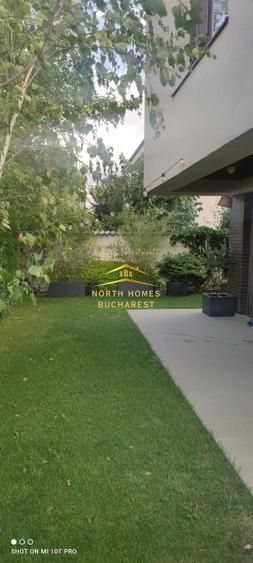 Vila/Casa individuala 3 dormitoare+birou renovata Otopeni (nu Odai, Ferme) - Poză 16