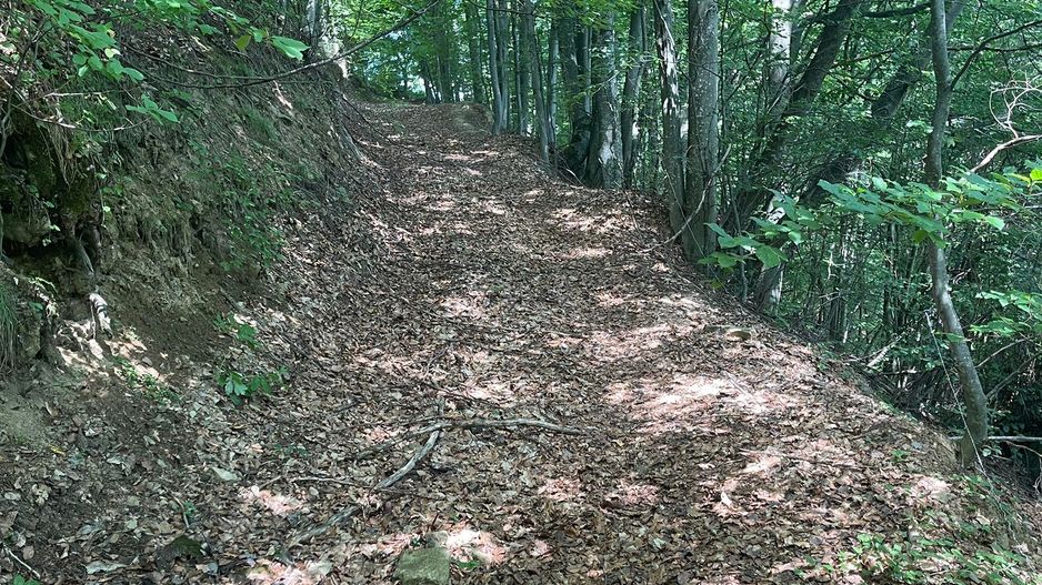 Teren intravilan I Loc deosebit, inconjurat de padure I Vladeasa - Poză 3