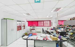 Hală de producție, cu birouri și teren, în Sebiș - Poză 32