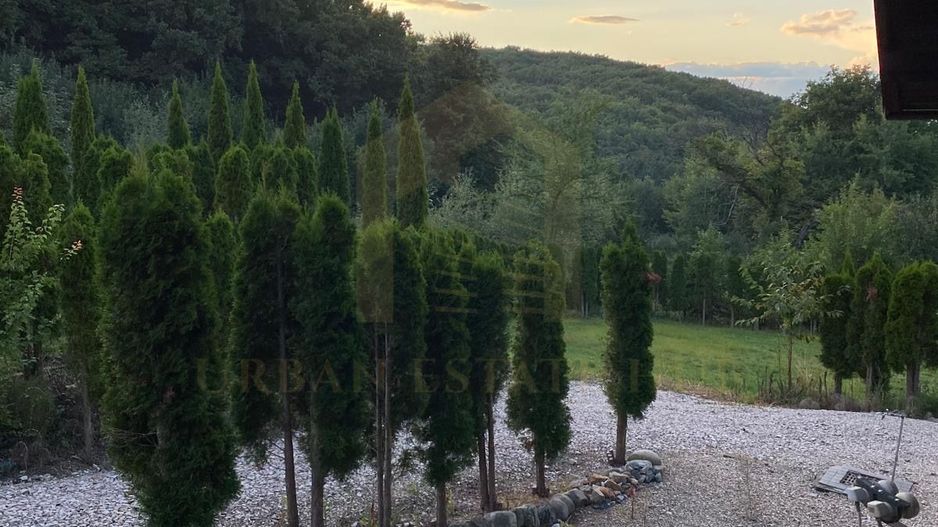 Vanzare teren 3000 mp, cabana, zona D D Rosca, Faget - Poză 5