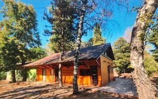 Vanzare sau inchiriere | Herastrau | restaurant cu terasa - Poză 2