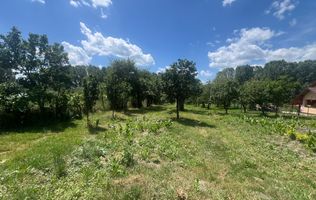 Teren Fedelesoiu/3200 mp/Intravilan