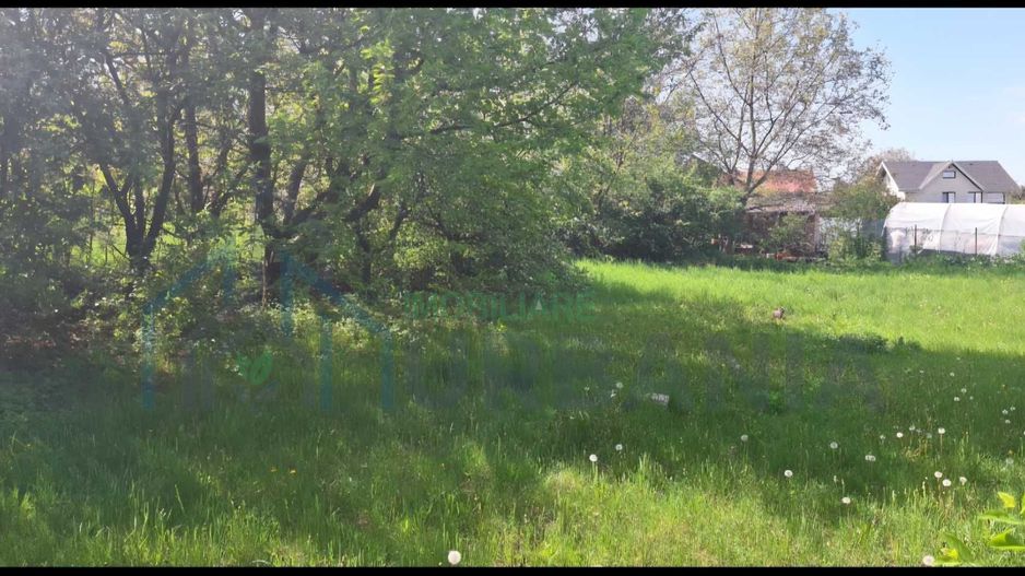 Teren de vanzare Iasi - Poză 2