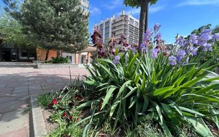 Apartament 2 camere Tudor Vladimirescu-Iulius Mall - Poză 27