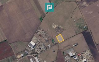 Teren industrial 6600mp, Săcălaz - Poză 3