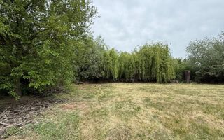 Teren ideal pentru lotizare - Poză 3