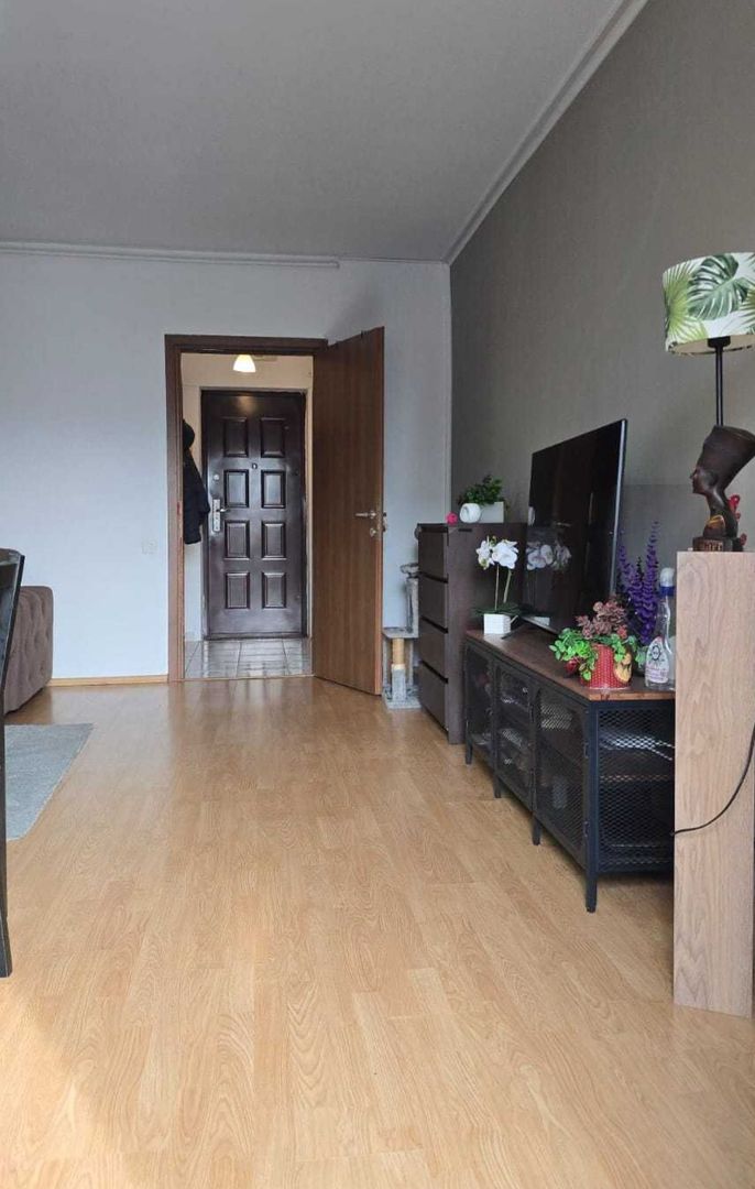 GARSONIERA COLENTINA, CENTRALA PROPRIE, PET-FRIENDLY, MOBILAT MODERN - Poză 6