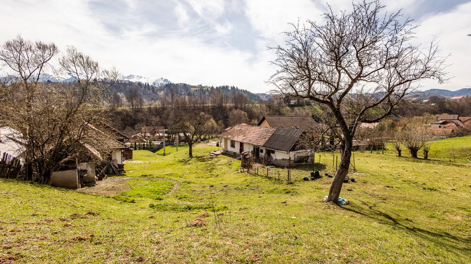 Domeniu de 6.500 mp teren+casa parinteasca,in magia Bucegilor,Moieciu, Brasov. - Poză 13