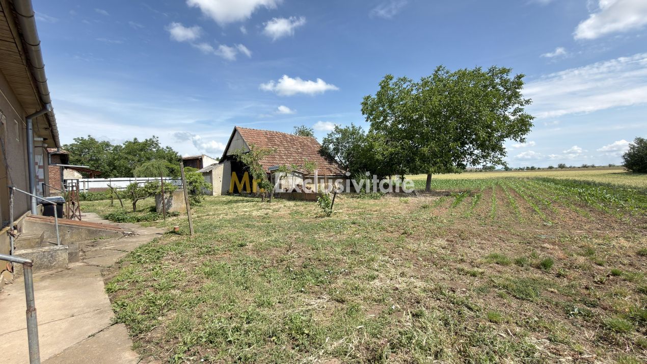 Casă 4 camere, Teren 1955 mp Str. Vezendiului Nr. 366 - Loc. Petrești, Satu Mare - Poză 15