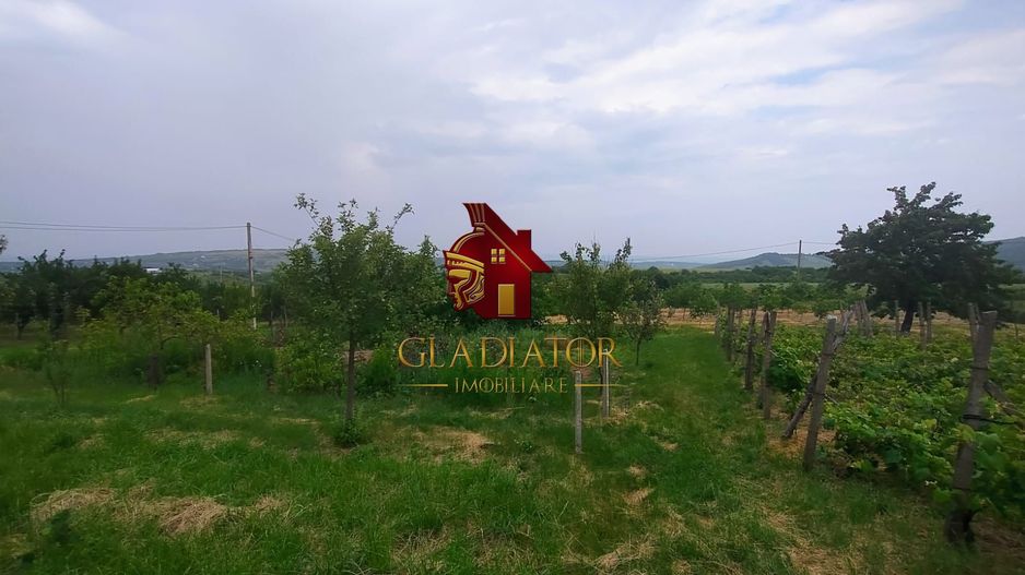 Casa + garaj + 1400 mp teren in Tomesti Goruni, zona de vis, nu rata - Poză 12