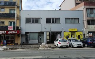 Teiul Doamnei numarul 89, Bucuresti, Sector 2 - Poză 1