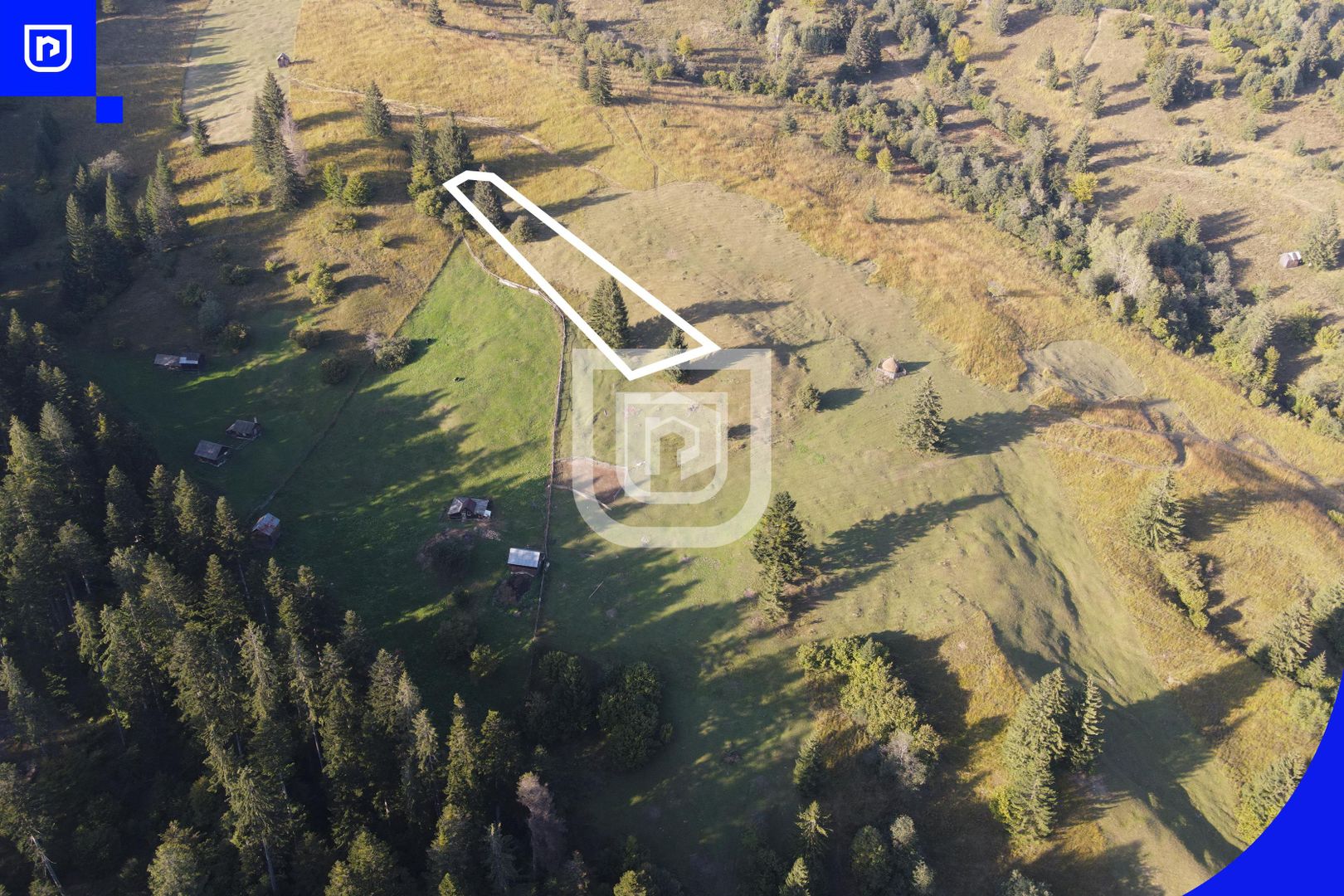 Teren situat in Frasin | BUCOVINA - Poză 6