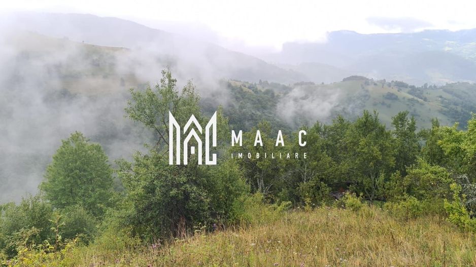 Super ofertă 35000 teren in Muntii Apuseni - Poză 17