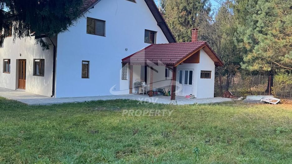 Pensiune/ Vila Valea Avrigului - Poză 4